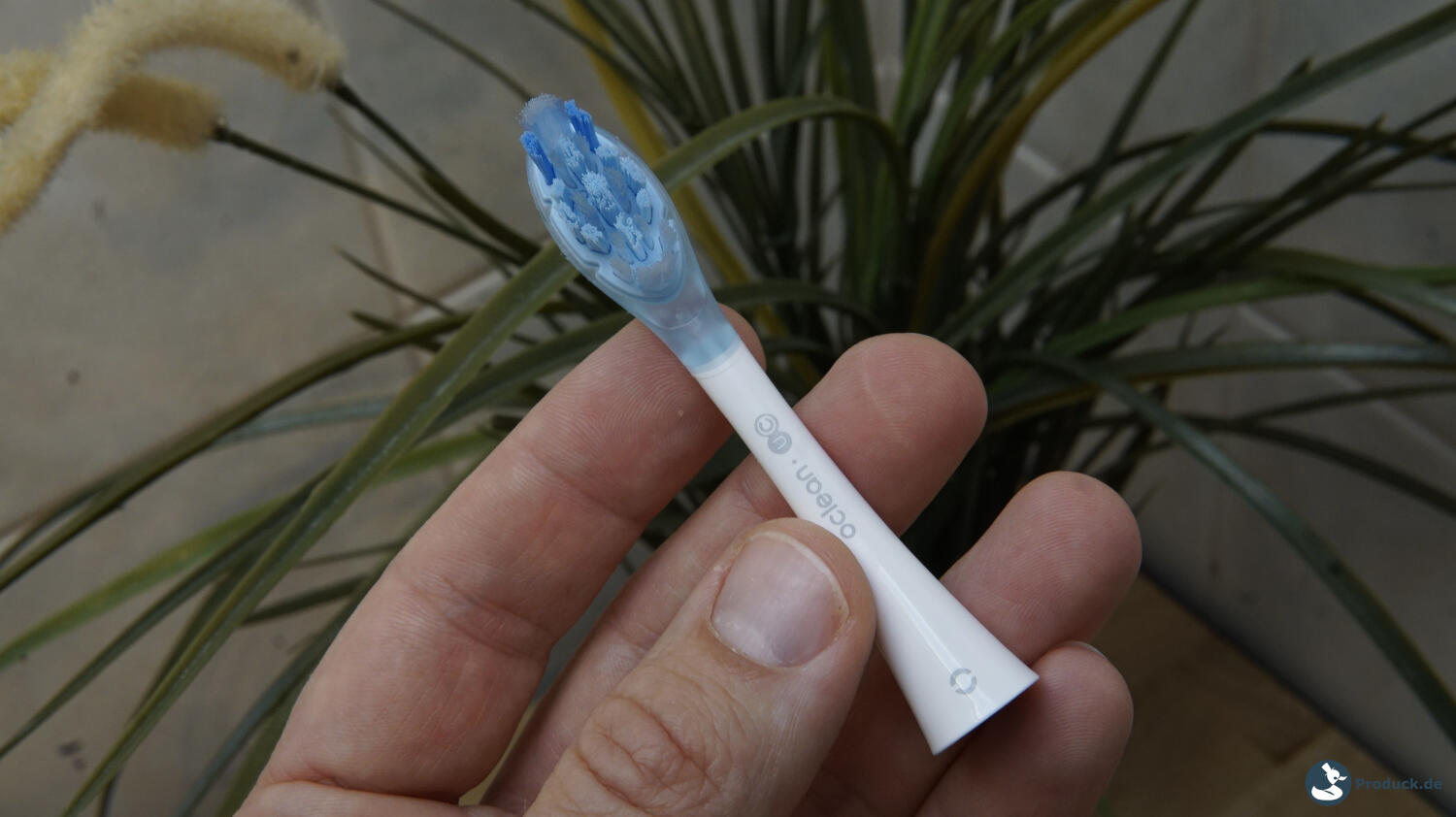 Oclean X Pro 20 S Test Bürstenkopf 