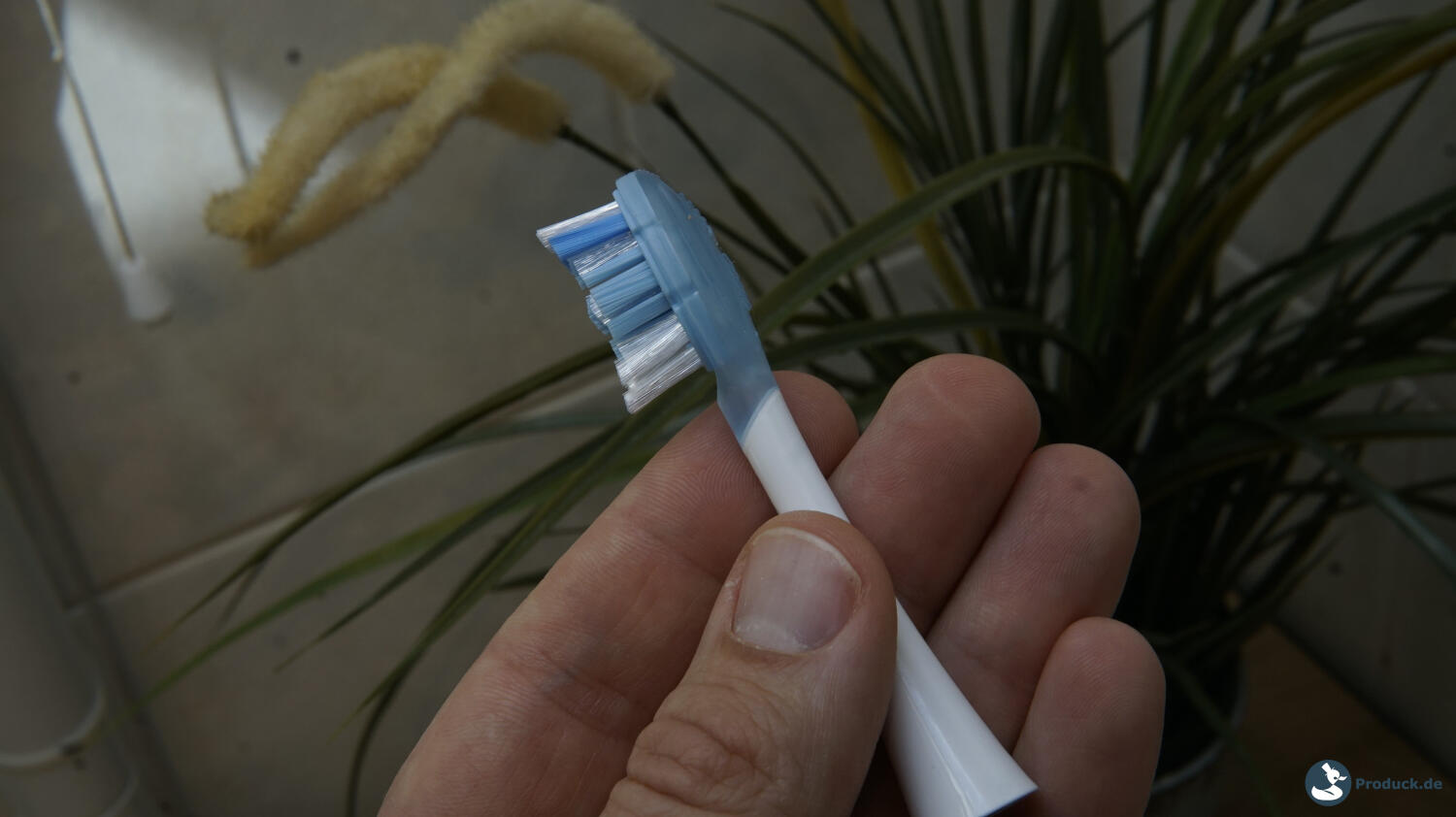 Oclean X Pro 20 S Test Bürstenkopf 